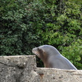 DSC00940